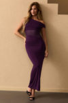 Sheer Sculpt Maxi Dress